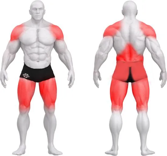 gym80 Pure Kraft Dual Double Handle Deadlift fra gym80 gym80 Pure Kraft Dual Double Handle Deadlift fra gym80