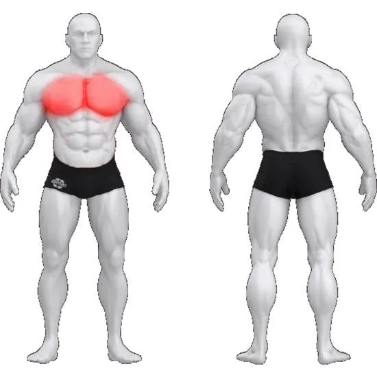 gym80 Sygnum Butterfly Chest With Pads fra gym80 gym80 Sygnum Butterfly Chest With Pads fra gym80