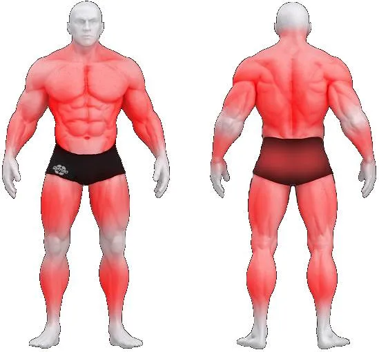 gym80 Ironqube Large+ fra gym80 gym80 Ironqube Large+ fra gym80