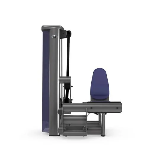 gym80 Sygnum Seated Calf fra gym80 gym80 Sygnum Seated Calf fra gym80