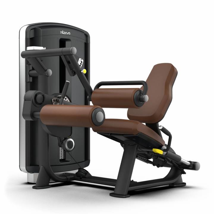 Intenza Dezign dual benstrekk og seated leg curl til styrketrening i treningssenter
