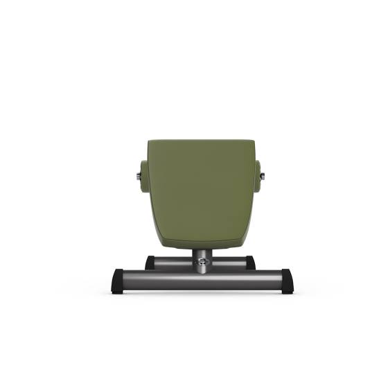 gym80 Basic Roman Chair Mavebænk
