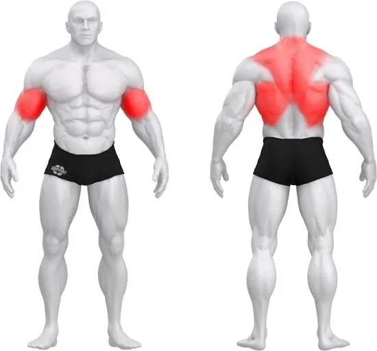 gym80 Pure Kraft Bent Over Row fra gym80 gym80 Pure Kraft Bent Over Row fra gym80