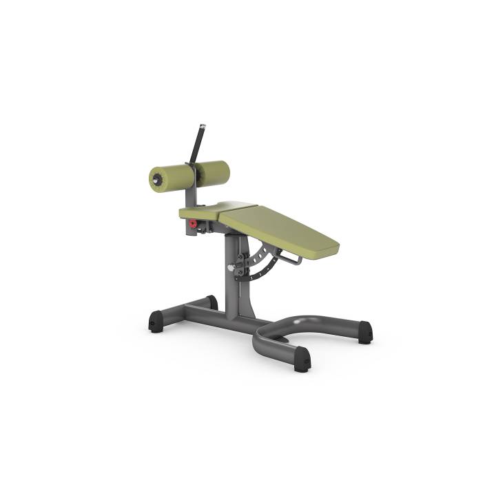 gym80 Adjustable Roman Chair Magebenk