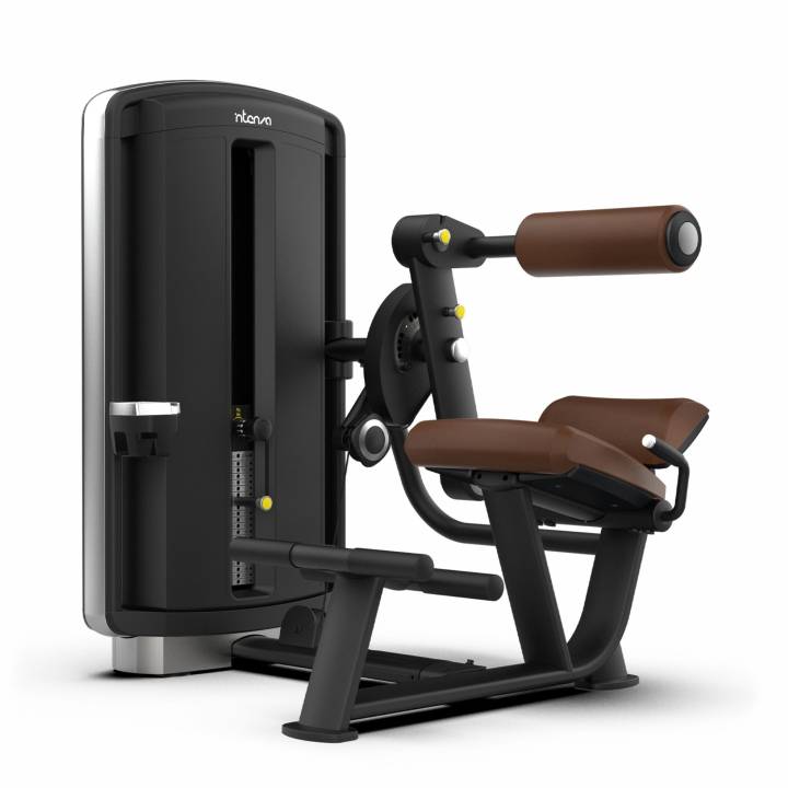 Intenza Dezign dual abdominal/back extension styrkemaskin til mage- og ryggtrening i treningssenter
