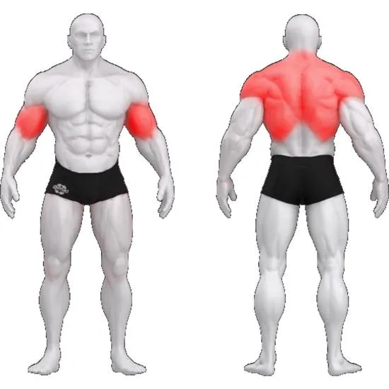 gym80 Sygnum Cable Art Latissimus & Trapezius fra gym80 gym80 Sygnum Cable Art Latissimus & Trapezius fra gym80