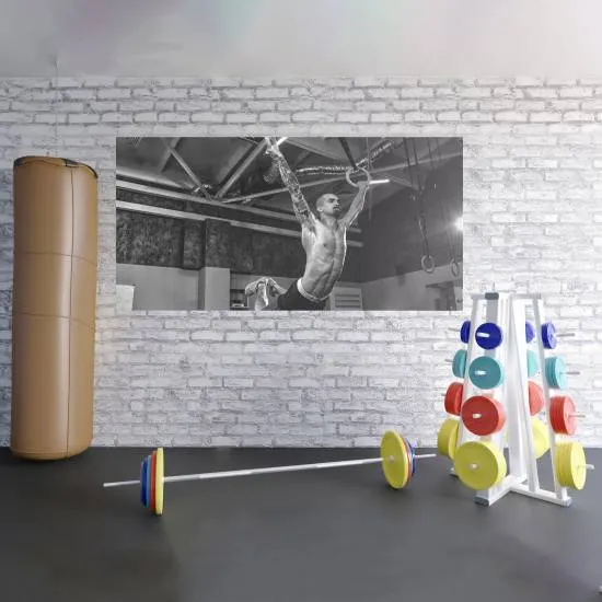 Plakat Ringer 200 x 100 cm fra Fitness Engros Plakat Ringer 200 x 100 cm fra Fitness Engros