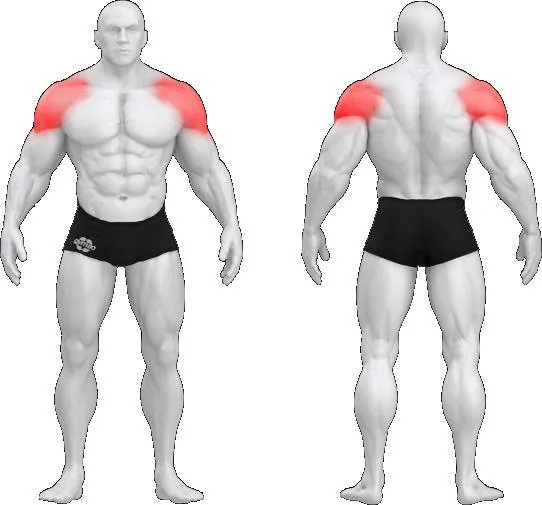 gym80 Pure Kraft Dual Shoulder Lateral Raise fra gym80 gym80 Pure Kraft Dual Shoulder Lateral Raise fra gym80
