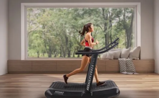 Assault Fitness