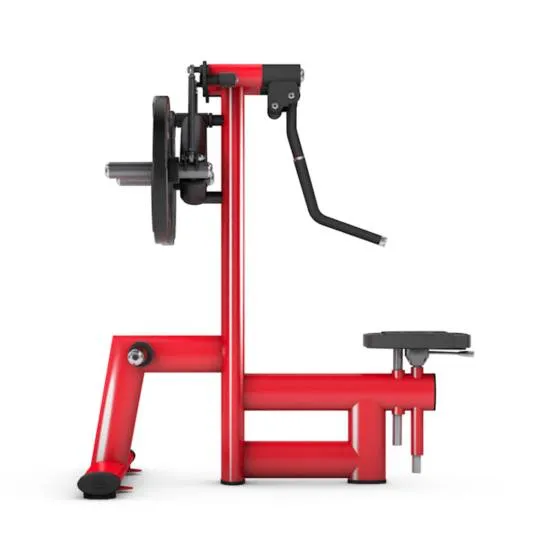 gym80 Pure Kraft Dual Shoulder Lateral Raise fra gym80 gym80 Pure Kraft Dual Shoulder Lateral Raise fra gym80