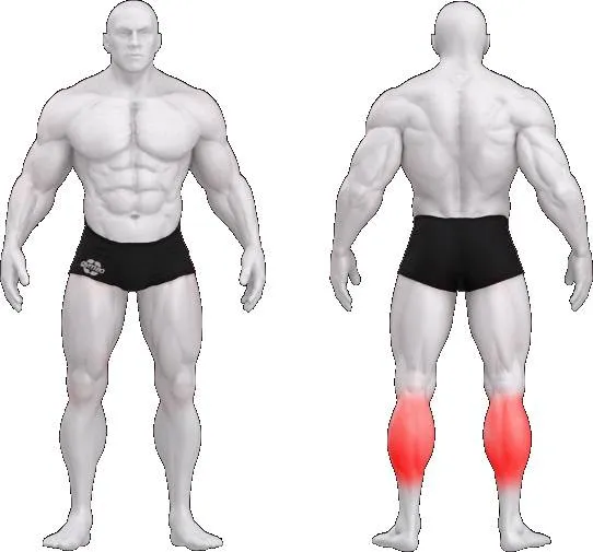 gym80 Pure Kraft 55° Standing Calf Raise fra gym80 gym80 Pure Kraft 55° Standing Calf Raise fra gym80
