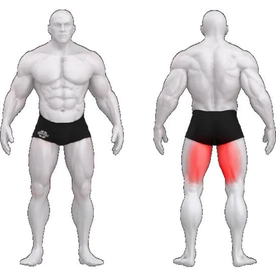 gym80 Sygnum Seated Leg Curl fra gym80 gym80 Sygnum Seated Leg Curl fra gym80