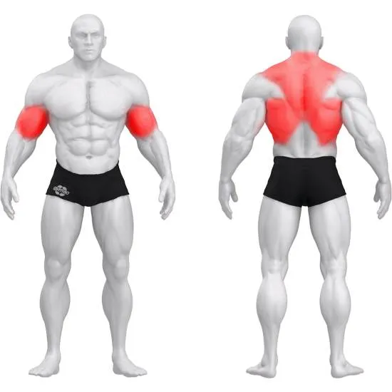 gym80 Sygnum Dual Seated Row fra gym80 gym80 Sygnum Dual Seated Row fra gym80