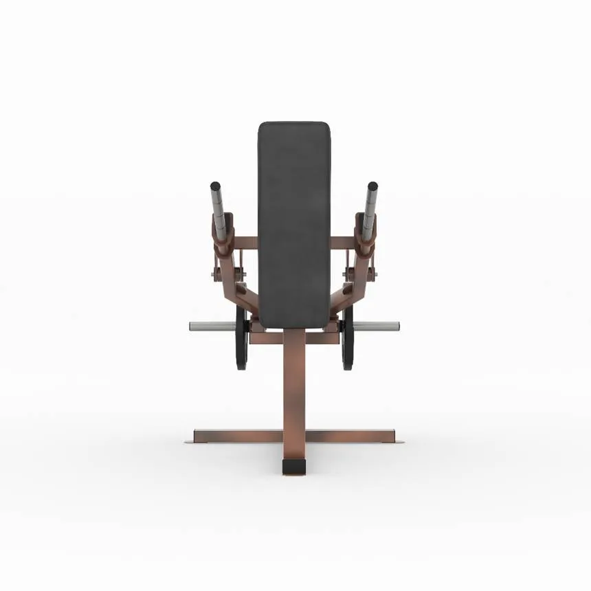 gym80 Outdoor Standing Triceps Dip fra gym80