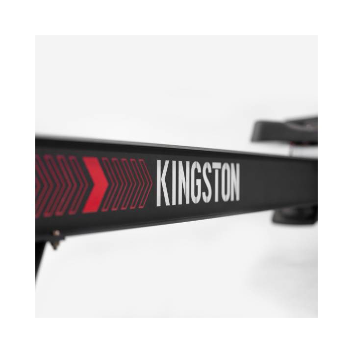 BH Fitness Kingston Romaskine fra BH Fitness