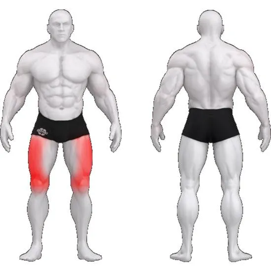 gym80 Sygnum Lying Leg Press fra gym80 gym80 Sygnum Lying Leg Press fra gym80