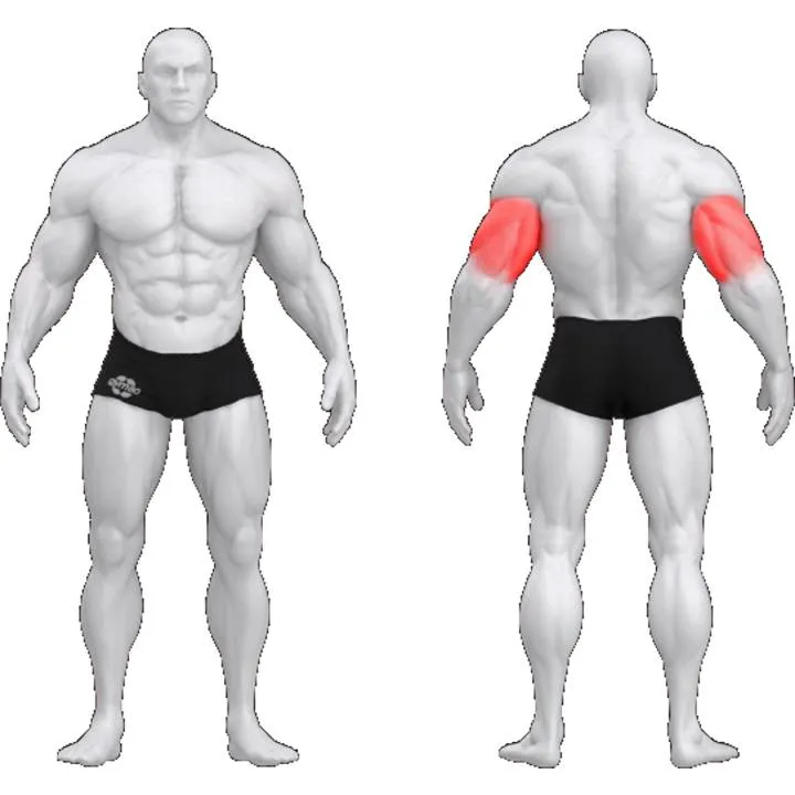 gym80 Sygnum Triceps Overhead Press fra gym80