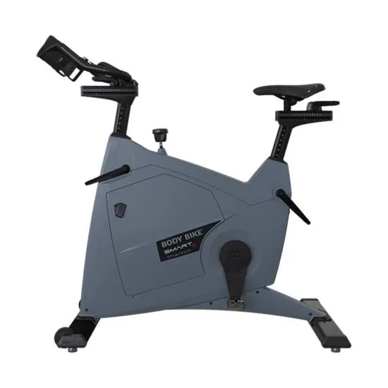 Body Bike Smart+ Phantom Grå fra Body Bike