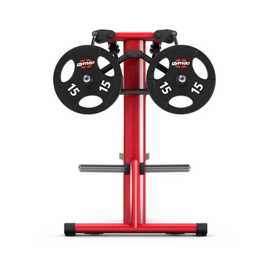 gym80 Pure Kraft Dual Shoulder Lateral Raise fra gym80 gym80 Pure Kraft Dual Shoulder Lateral Raise fra gym80