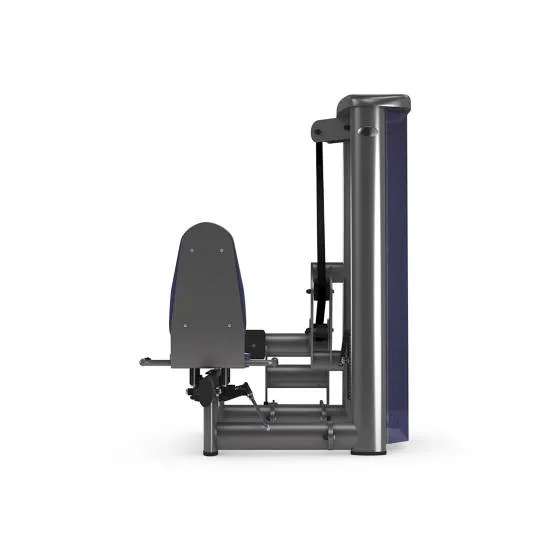 gym80 Sygnum Seated Calf fra gym80 gym80 Sygnum Seated Calf fra gym80
